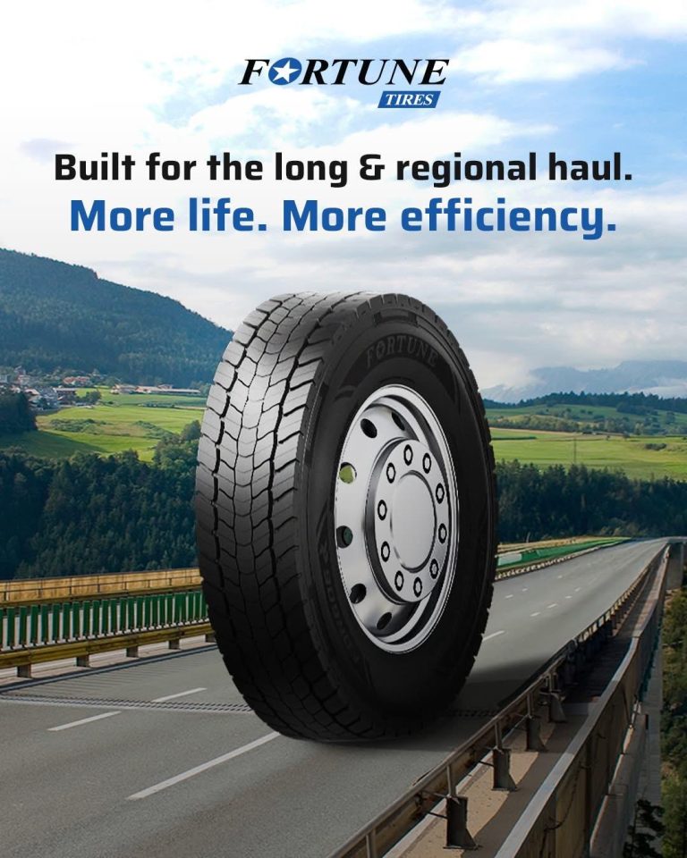 WhatsApp Image 2025-10-03 at 14.49.06 (4)